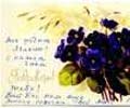 Postcard E. Gilels to F. Gilels (for their anniversary). January 19, 1979